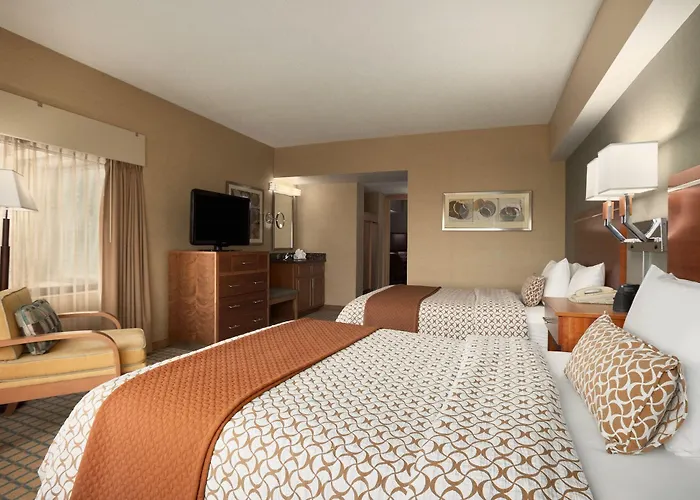 Embassy By Hilton Chicago O'hare 4* Rosemont