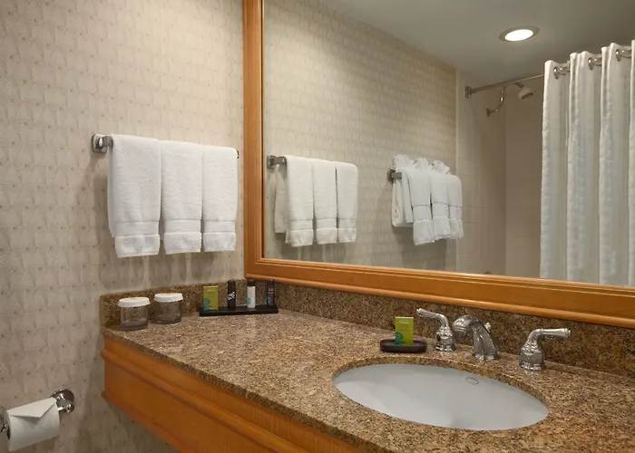 Embassy By Hilton Chicago O'hare Hotel Rosemont