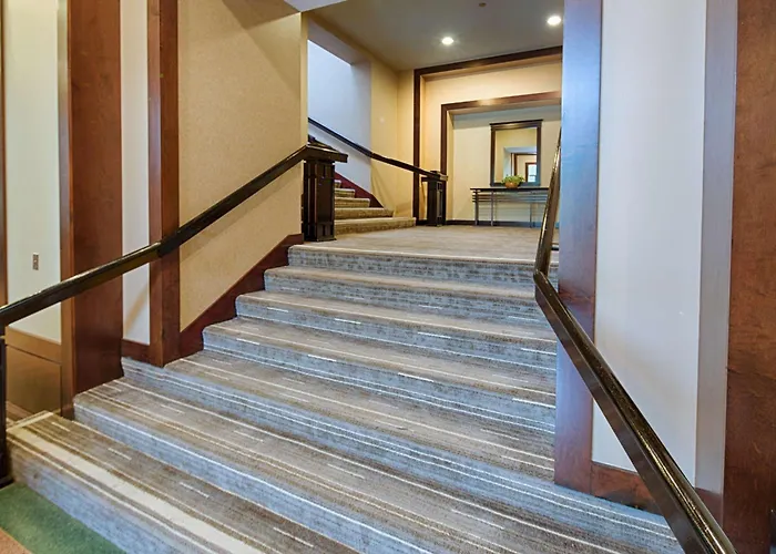 Embassy By Hilton Chicago O'hare Hotel 4*