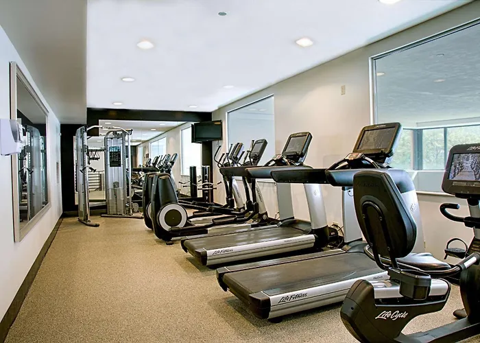 Embassy By Hilton Chicago O'hare Hotel 4*