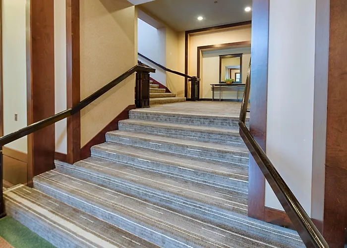Embassy By Hilton Chicago O'hare 4* Rosemont