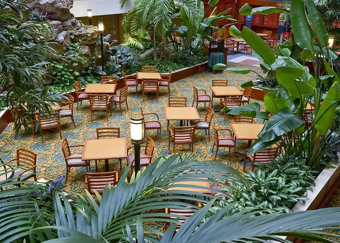 Embassy By Hilton Chicago O'hare