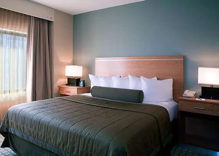Embassy By Hilton Chicago O'hare Hotel